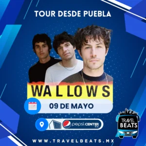 Wallows en México 2025 | Boleto y viaje desde Puebla | Travel Beats