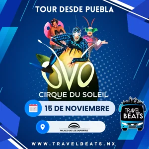 "OVO" Cirque Du Soleil