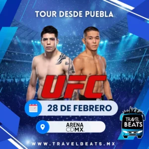 UFC en México 2026 | Boleto y viaje desde Puebla | Travel Beats