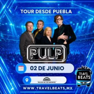 Pulp